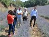 Kaymakam Dolu, Lavanta Tarlası’nı İnceledi