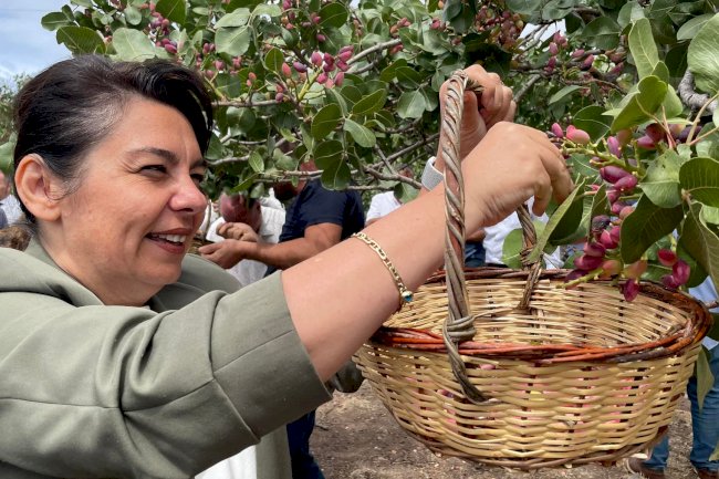 İskenderoğlu’ndan Şahin’e davet 