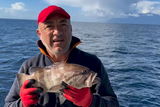 Balıkçının 'ak logos' şaşkınlığı 