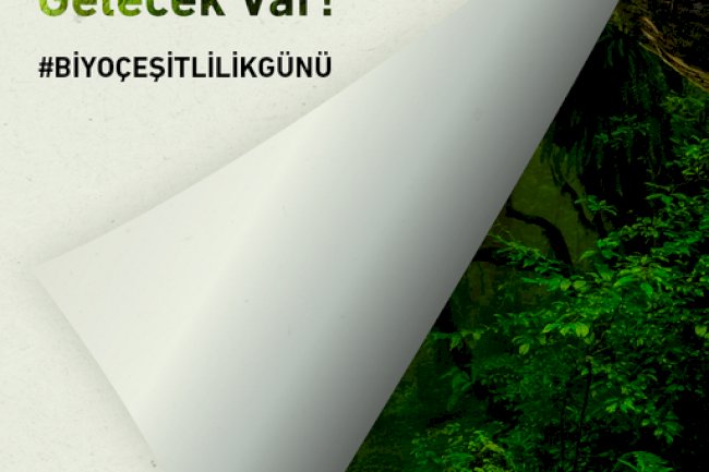 Akçansa Biyoçeşitliliği Korumak İçin Çalışıyor