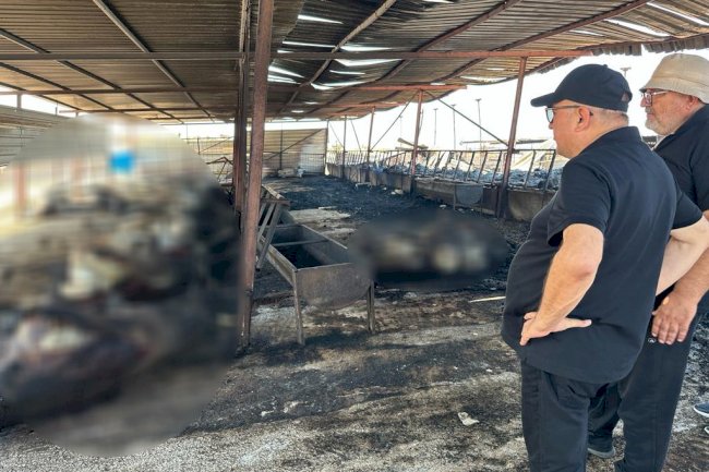 “Devletimiz üzerine düşeni yapacaktır”