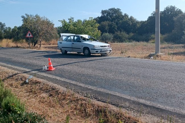 Emekli öğretim üyesi hayatını kaybetti