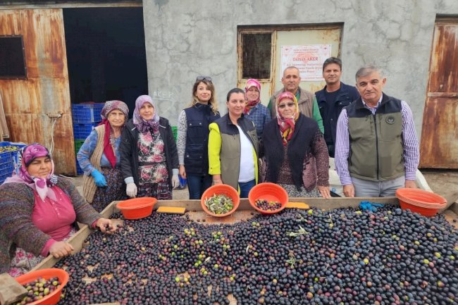 Zeytin işleme tesisini inceledi