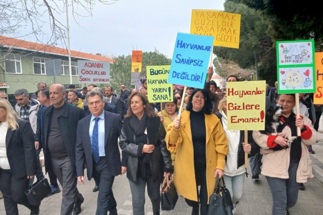 Gökçeada’da hayvanseverlerden sert tepki