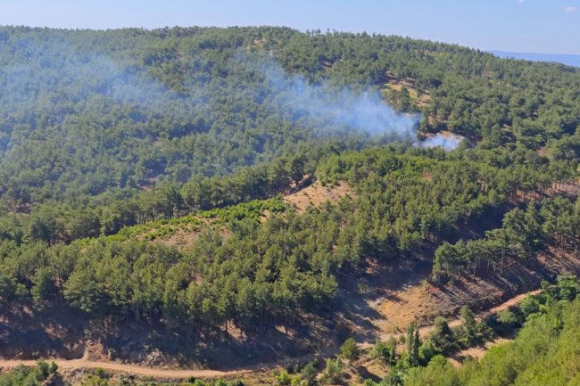 Türkarslan’dan tesis incelemesi