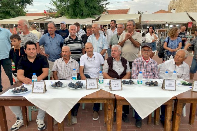 Bozcaada’da en iyi üzüm seçimi yapıldı