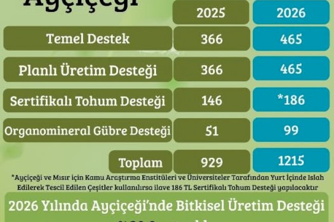 Ayçiçek Üretimine 2026’da Destek Artışı