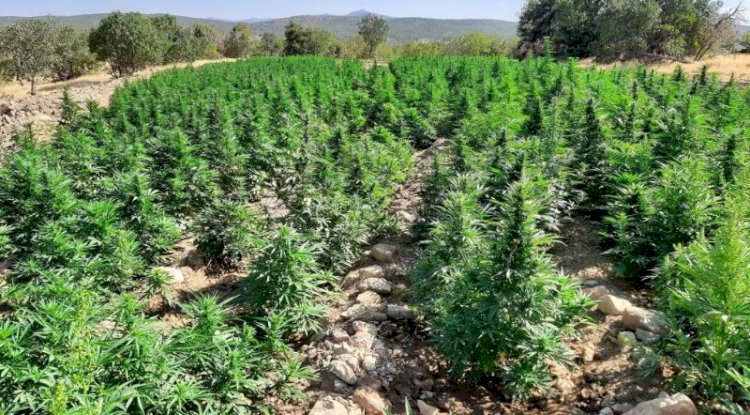 PKK terör örgütünün finansman kaynağı kurutuluyor