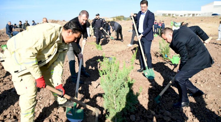 Yemyeşil bir OSB için anlamlı etkinlik