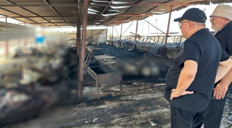 “Devletimiz üzerine düşeni yapacaktır”