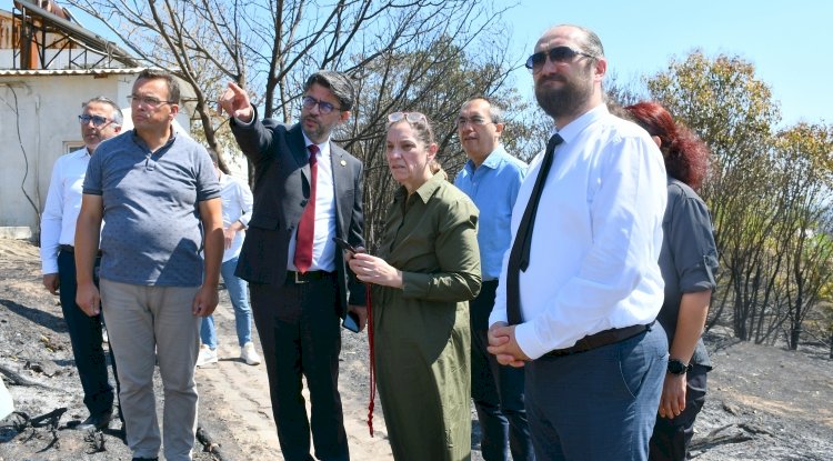 Okyay incelemelerde bulundu