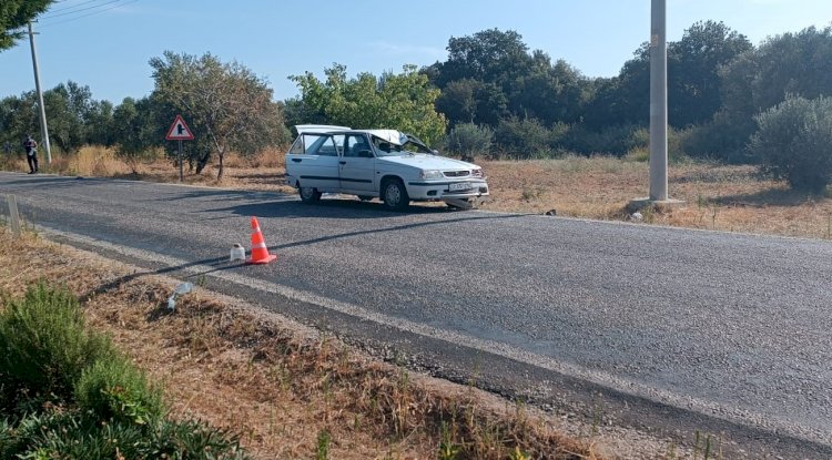 Emekli öğretim üyesi hayatını kaybetti
