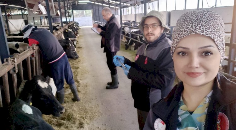 Hastalıktan ari işletmede tüberkülin testleri uygulandı