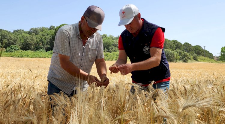 Türkarslan; “Üretimimizi artırmayı hedefliyoruz”