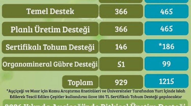 Ayçiçek Üretimine 2026’da Destek Artışı