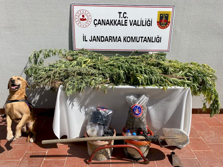 Uyuşturucu operasyonu; 1 gözaltı 