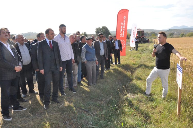 Yerli çeşit çeltikler tanıtıldı 