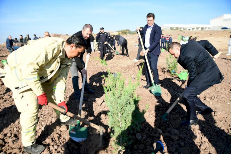 Yemyeşil bir OSB için anlamlı etkinlik